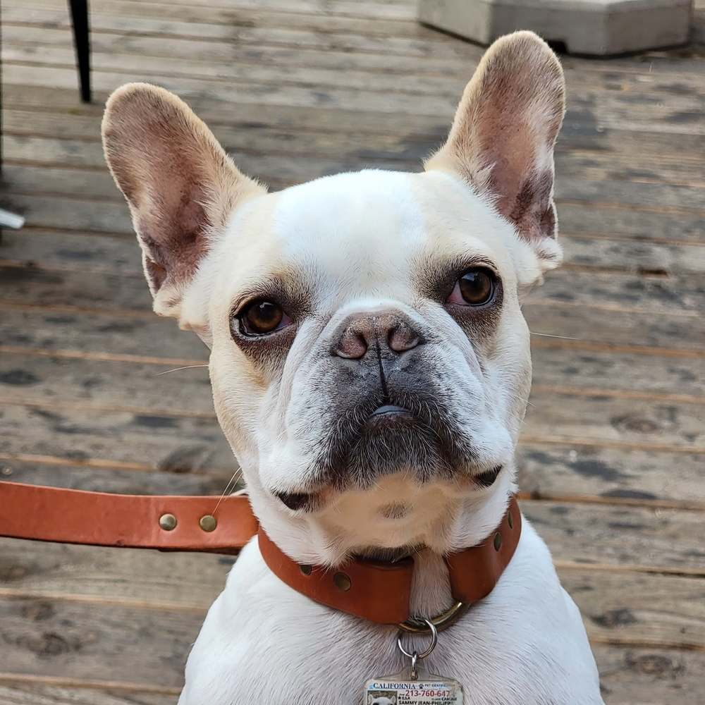 Meet your Posher, Min